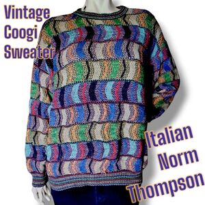 RARE FIND Viintage 80 Italian Norm Thompson Trending Coogi Sweater Multicolor LG